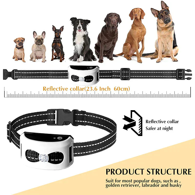 2-in-1 Drahtloser Hundezäun und Outdoor-Trainerhalsband