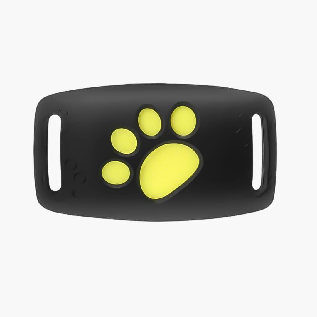 GPS Katzenhalsband - Echtzeit-Tracking - Satellitentechnologie