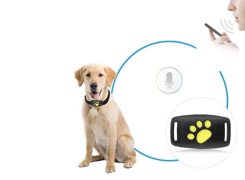 CatGuard GPS – Echtzeit-Katzen-Tracker ohne Abonnement