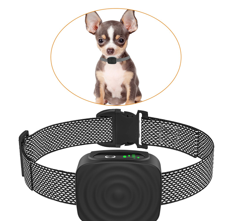 Anti-Bell-Halsband für kleine Hunde, Trainingshilfe