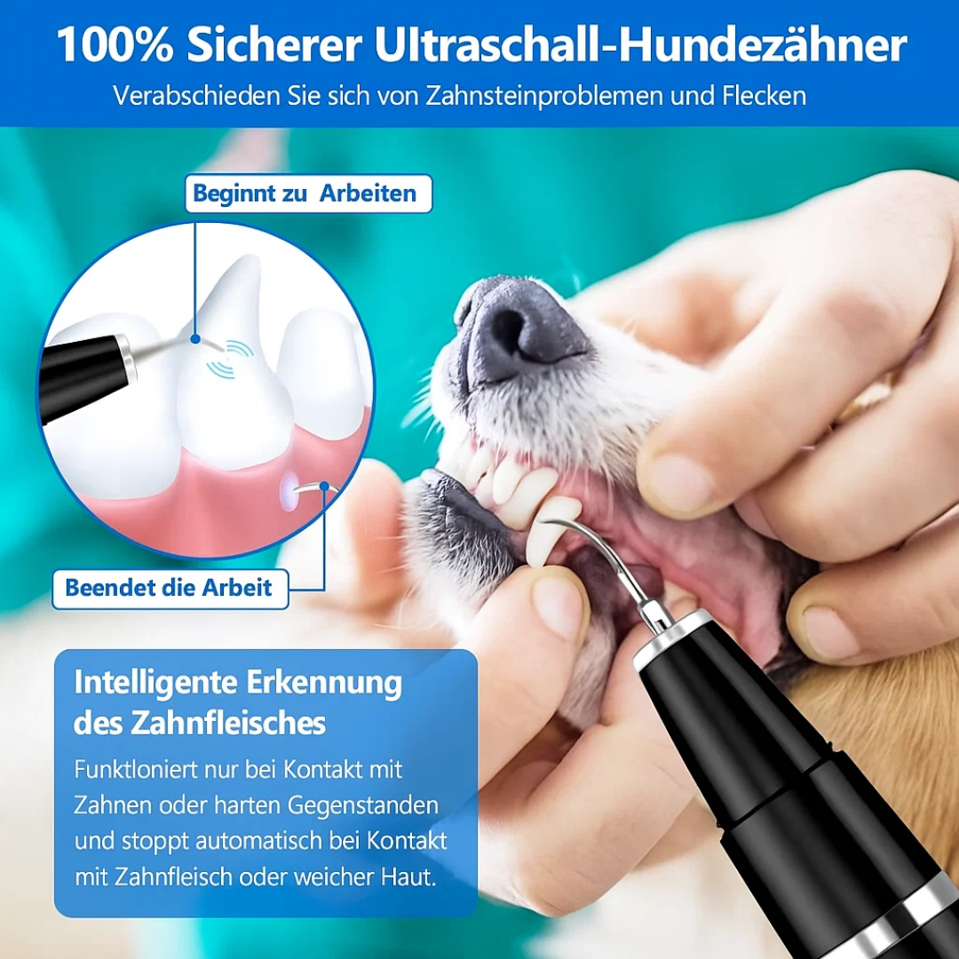 Zahnstein bei Hund & Katze entfernen | Zahnpflege für Haustiere | Zahnreiniger | PlaqueFree